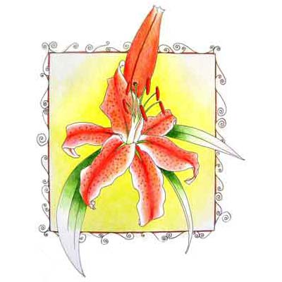 Lily Flower Design Water Transfer Temporary Tattoo(fake Tattoo) Stickers NO.11218